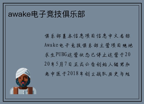 awake电子竞技俱乐部